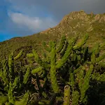 La Cabala Del Draguillo *